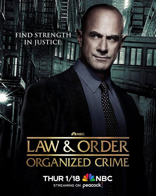 法律与秩序：组织犯罪 第四季(全集)